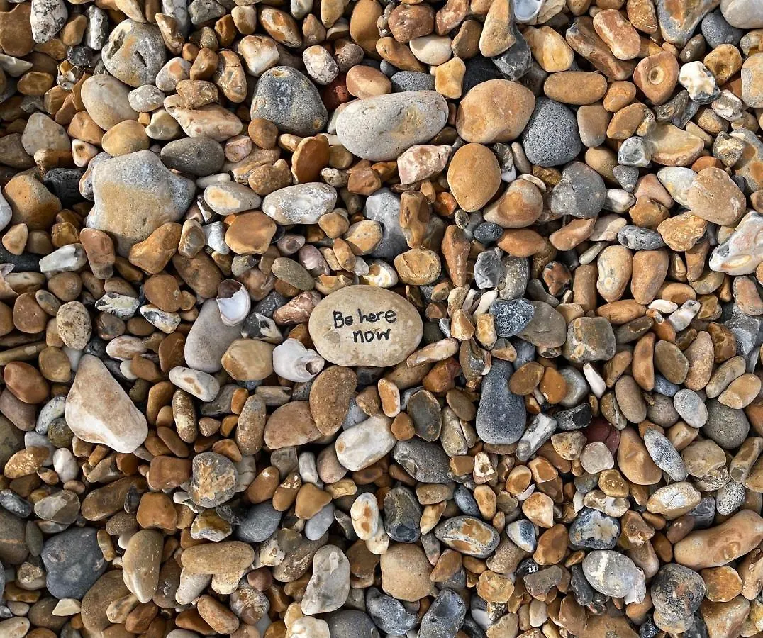 3 Bedroom Garden Apartment Opposite The Beach Hove